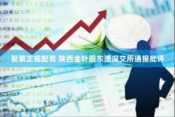 股票正规配资 陕西金叶股东遭深交所通报批评