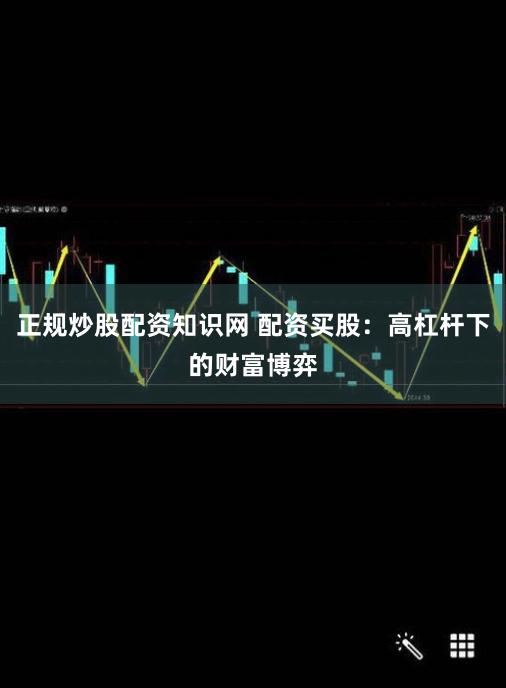 正规炒股配资知识网 配资买股：高杠杆下的财富博弈