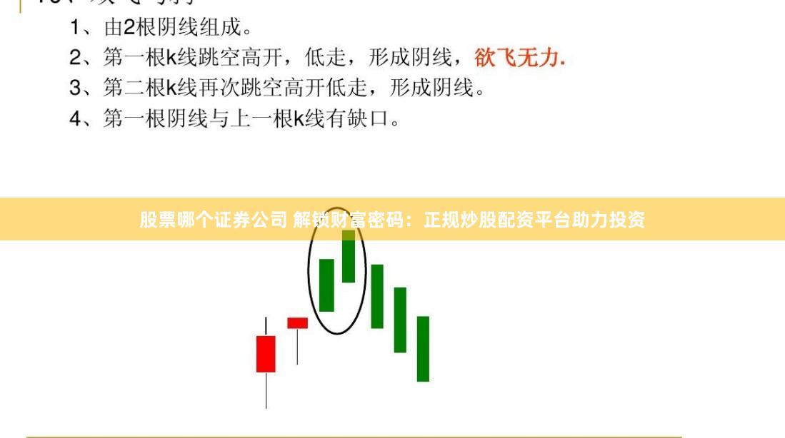 股票哪个证券公司 解锁财富密码:正规炒股配资平台助力投资