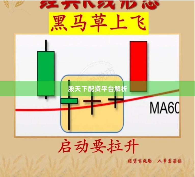 股天下配资平台解析